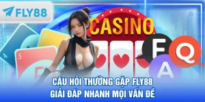 câu hỏi thường gặp